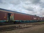 BRAD PCT-058065-1